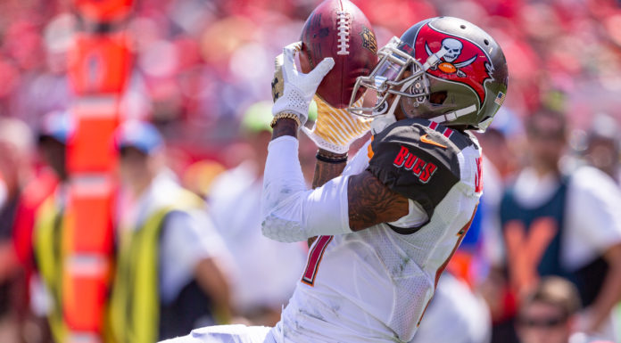 DeSean Jackson catching a pass from Ryan Fitzpatrick in 2018