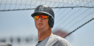 DJ LeMahieu with the New York Yankees in 2019