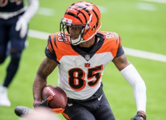 Tee Higgins with the Bengals in 2020