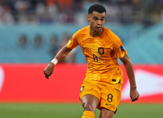 Cody Gakpo of Holland during the 2022 Qatar World Cup