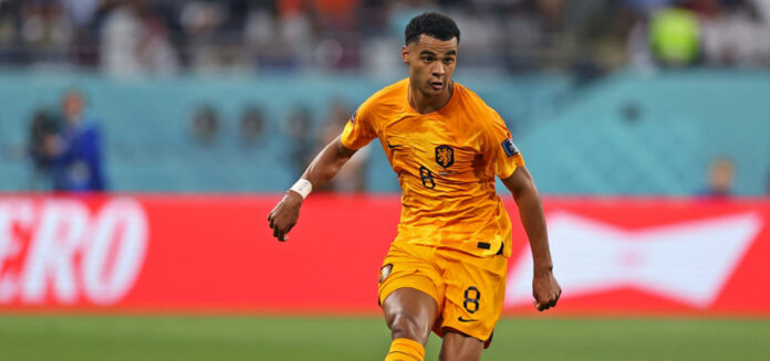 Cody Gakpo of Holland during the 2022 Qatar World Cup
