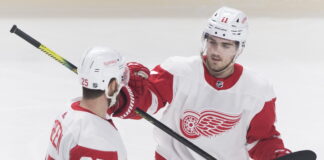 Detroit Red Wings' Mike Green (25) celebrates with teammate Filip Zadina in 2019